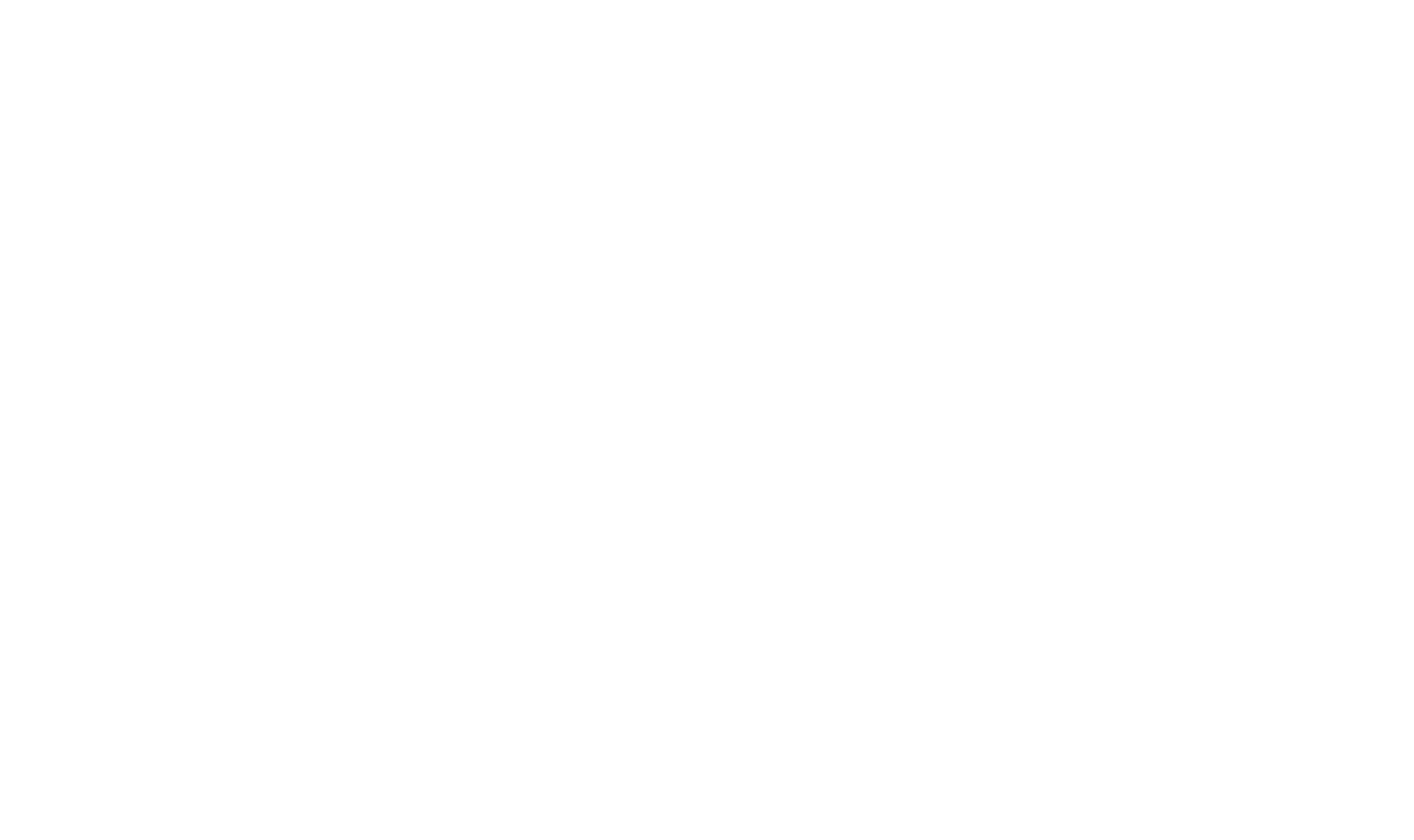 Bold Monkey logo